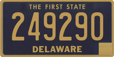 DE license plate 249290