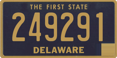 DE license plate 249291