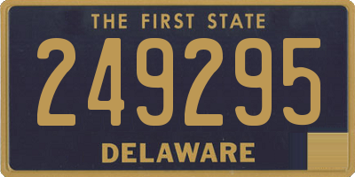 DE license plate 249295
