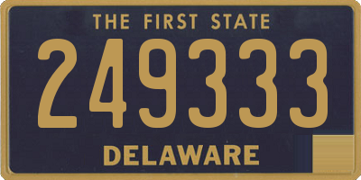 DE license plate 249333