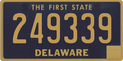DE license plate 249339