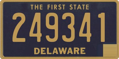 DE license plate 249341