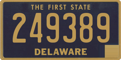DE license plate 249389