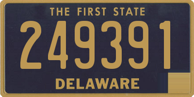 DE license plate 249391