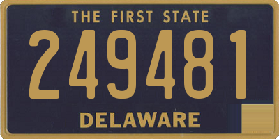 DE license plate 249481