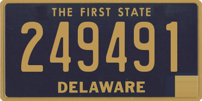 DE license plate 249491