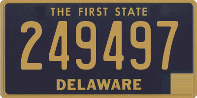 DE license plate 249497