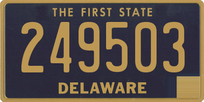 DE license plate 249503
