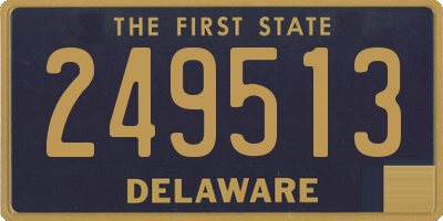 DE license plate 249513