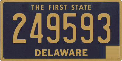 DE license plate 249593