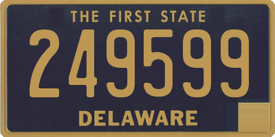 DE license plate 249599