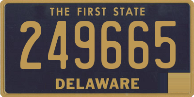 DE license plate 249665