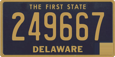 DE license plate 249667