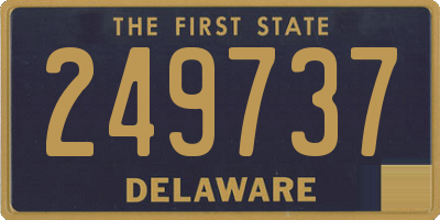 DE license plate 249737