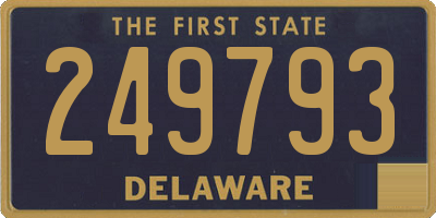 DE license plate 249793