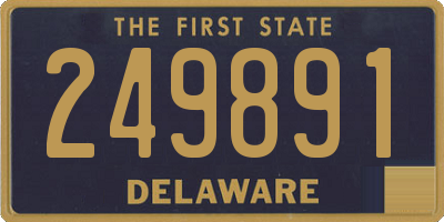 DE license plate 249891