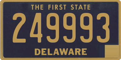 DE license plate 249993