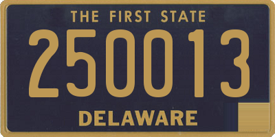 DE license plate 250013