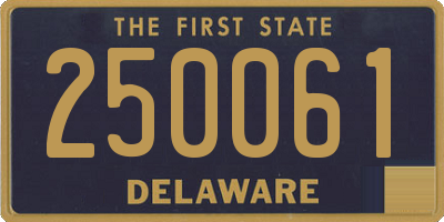 DE license plate 250061