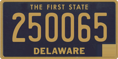 DE license plate 250065