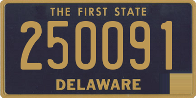 DE license plate 250091