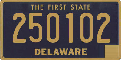 DE license plate 250102