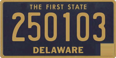DE license plate 250103
