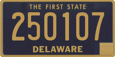 DE license plate 250107