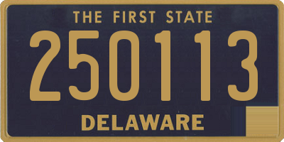 DE license plate 250113