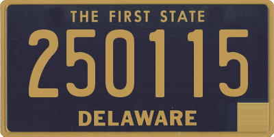 DE license plate 250115