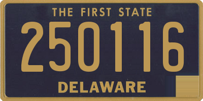 DE license plate 250116