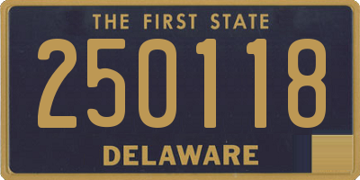 DE license plate 250118