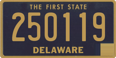 DE license plate 250119