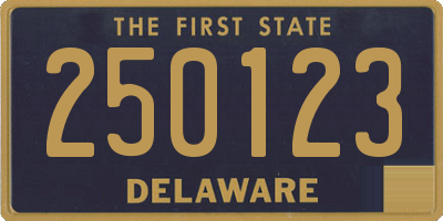 DE license plate 250123