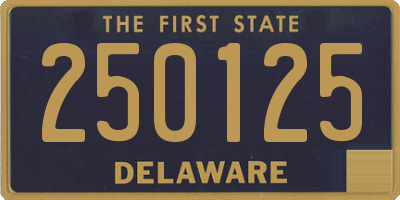 DE license plate 250125
