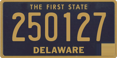 DE license plate 250127