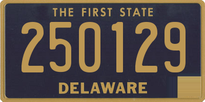 DE license plate 250129