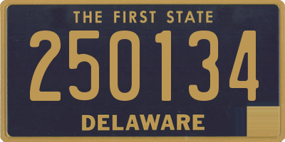 DE license plate 250134