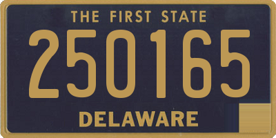 DE license plate 250165
