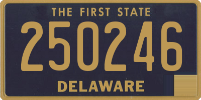 DE license plate 250246