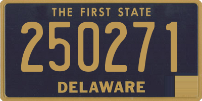DE license plate 250271