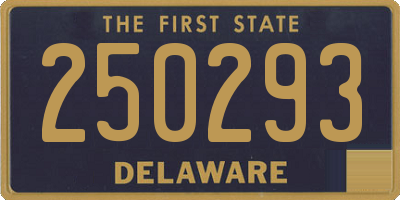 DE license plate 250293