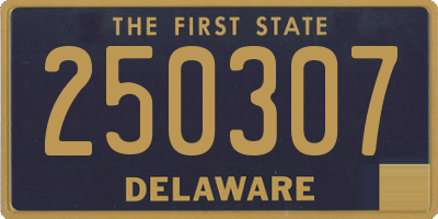DE license plate 250307