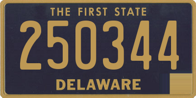 DE license plate 250344