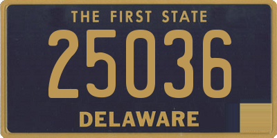 DE license plate 25036