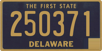 DE license plate 250371