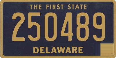 DE license plate 250489