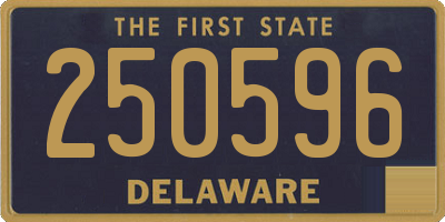 DE license plate 250596