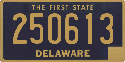 DE license plate 250613