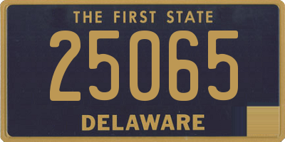 DE license plate 25065